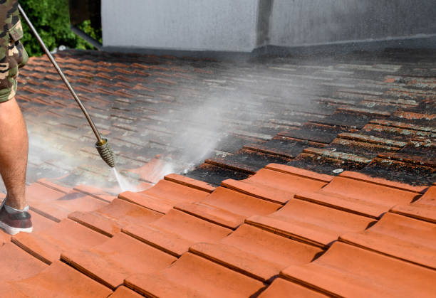 Best Exterior Home Cleaning  in Jesup, IA