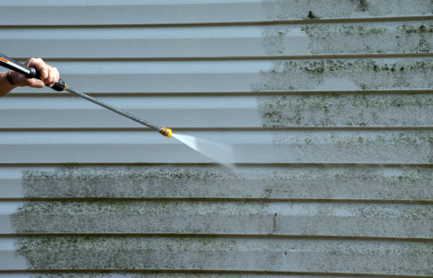 Best Residential Pressure Washing Services  in Jesup, IA