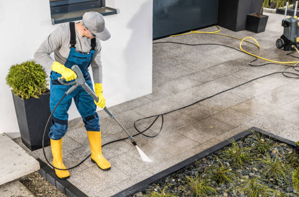 Best Pressure Washing Near Me  in Jesup, IA