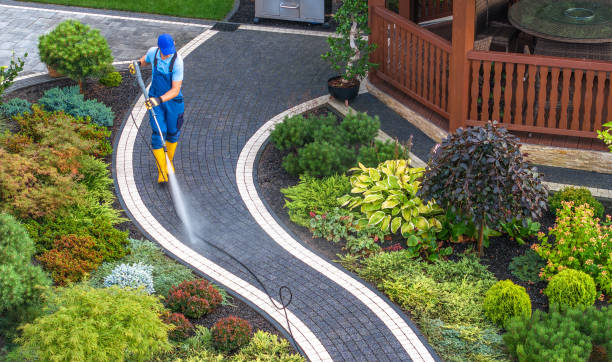 Best Affordable Power Washing  in Jesup, IA